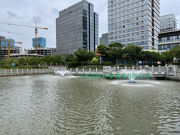 市政黑臭河道高效治理方案沉水風機噴泉曝氣機.jpg