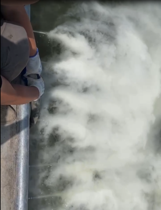 微納米氣泡發生增氧設備河道治理.png