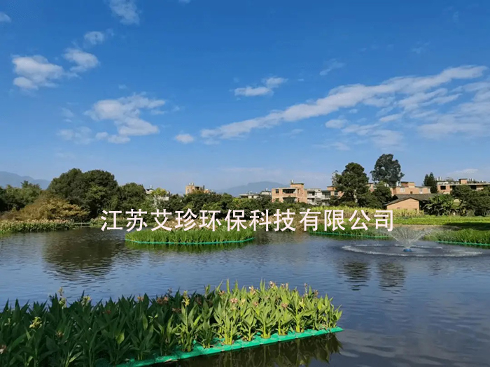 河道治理新招：多樣增氧，讓水體重煥生機.jpg