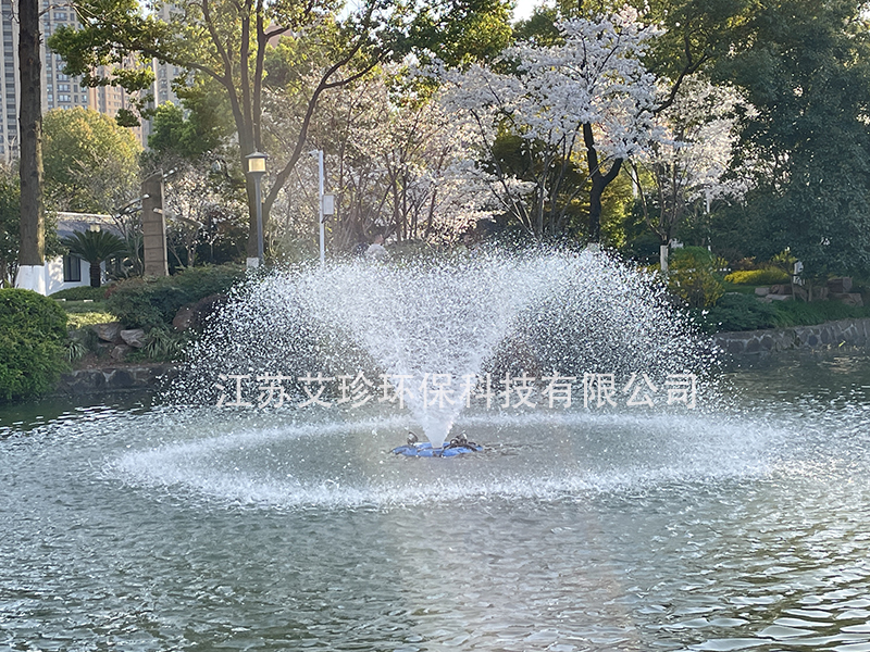 噴泉曝氣機(jī)噴泉式太陽能增氧系統(tǒng)：讓水體煥發(fā)新生.jpg