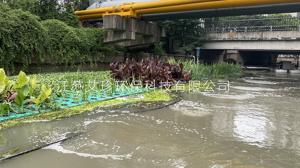 上海河道治理增氧曝氣工程艾珍環保