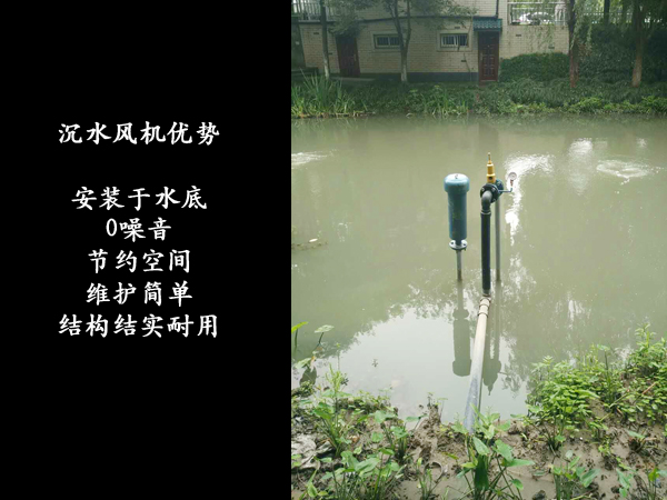 黑偉潛水風(fēng)機(jī).jpg