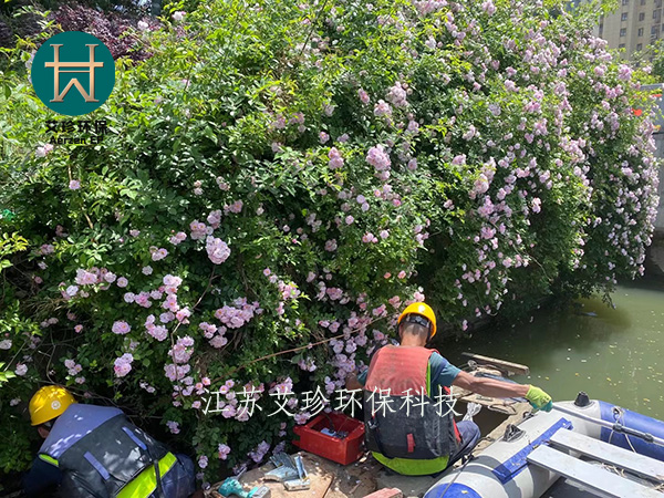 江蘇艾珍沉水風(fēng)機(jī)河道治理曝氣
